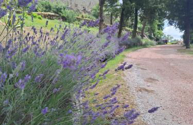 ABBAZIA DI VALLINGEGNO - Foto 2