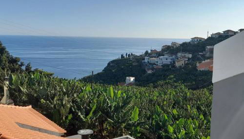 SantoSerenus - Foto 4