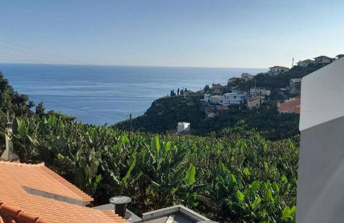 SantoSerenus - Foto 4