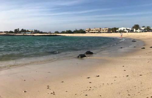 GuestReady - Cotillo Los Lagos 41 Agustin Peñate - Foto 15