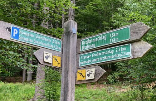 Bayerwaldnest - Foto 45