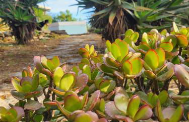 Villa Marinella - Foto 66