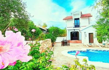 Cortijo Rica - Photo 17