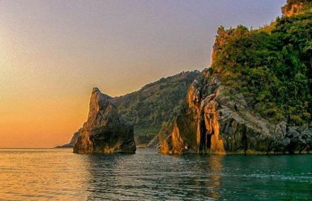 House of Gardenia - Foto 93