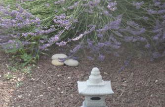 L'Islo Bamboo - Foto 18