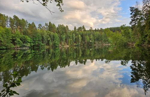 Buszyno Agroturystyka - Foto 9