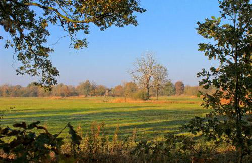 An der Hainmühle - Foto 10