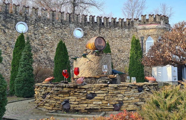 Tour por Chisináu + Visita a la bodega Mileștii Mici - Foto 5