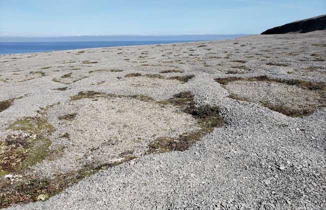 Burnt Cape Cabins - Foto 30