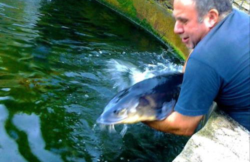 Agriturismo Monte Acuto - natura, mare & relax in piscina - Foto 23