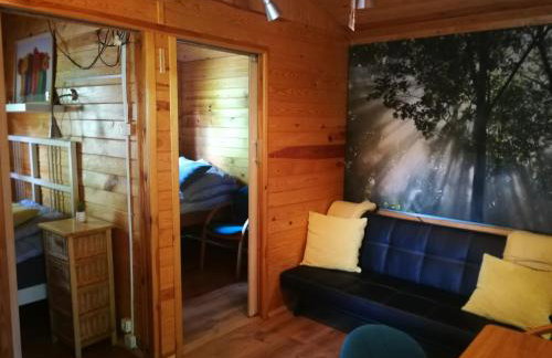 domki domek na jeziorem Wilczyńskim Budzisławskim , las, osobno ogrodzony 2-6 osób- klimatyzacja, ogrzewanie, 62-550 Zygmuntowo gm Wilczyn - Foto 28