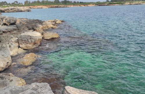 Villa Aurita - Foto 39