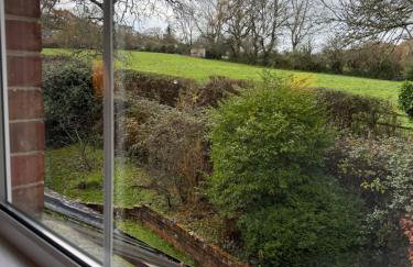 Cosy Forest Cottage Log Fire Ponies Walks - Foto 63