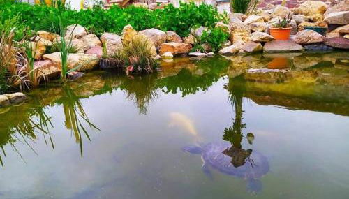 La Quibla de Abuhan - Foto 4