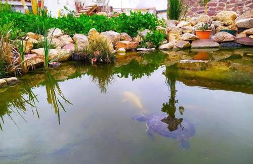 La Quibla de Abuhan - Foto 4