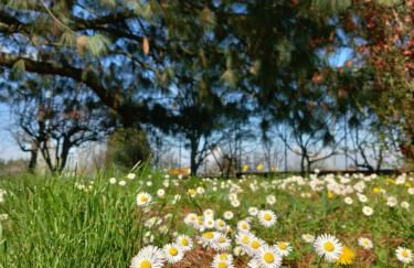 La Casa di Gio ed Eli - Foto 77