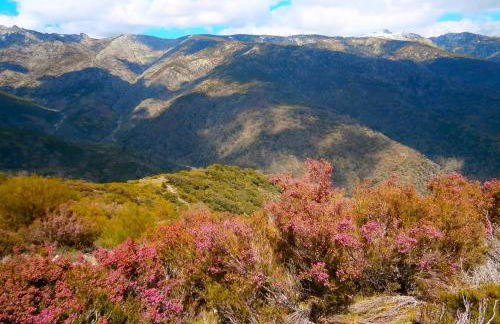 Casa Sebastiana - Foto 13