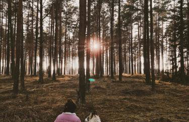 Za Lasem Nad Wodą - Foto 56