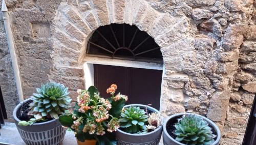 Casa Appartamento per Vacanze - CASA CAMPANFIORE - Al Centro Storico di ZAGAROLO - PER 4 OSPITI - Foto 4