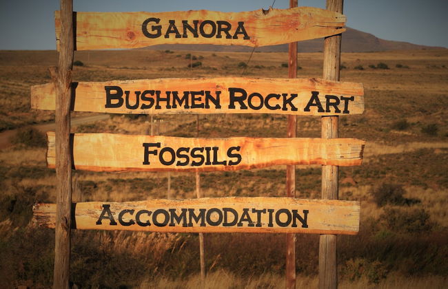 Ganora Guestfarm & Excursions - Foto 43