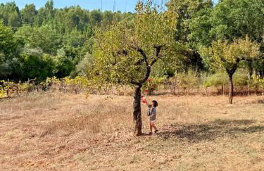 Monte do Garnacho - Villa in the Mountains - Foto 9