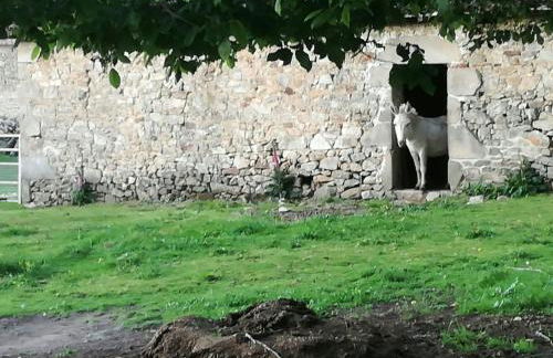 joli gîte plain pied - Foto 41