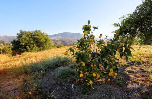 Luxury Modern Chateau near wineries & beaches - Foto 50