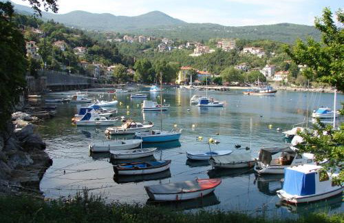 Ika Blue Studio - Photo 49