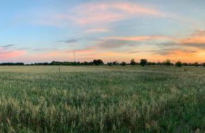 Ferienwohnung Bock im Seenland - Foto 4