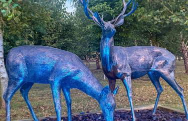 Shropshire Lodges - Romantic Luxury Hot Tub Breaks - Foto 48