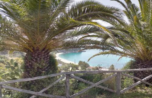 Residence Esmeraldo - Foto 49