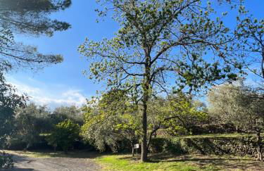 Country House Etna Glicine - Foto 21