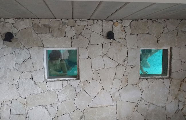 Jaina Resort & Spa - Photo 47