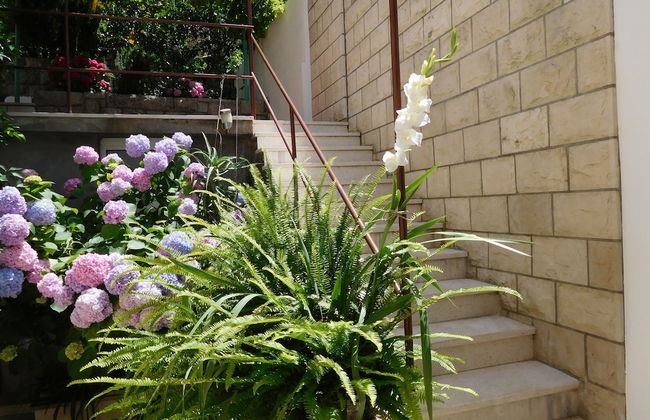 Apartments Ivancevic - Foto 65