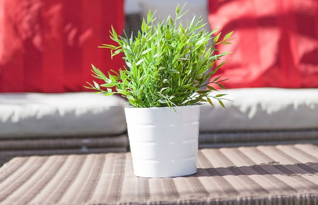 Apartamentos Terrazas de la Catedral - Photo 76