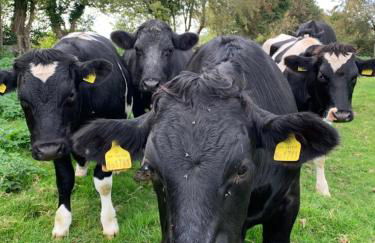 Church Farm, Legbourne Louth - Foto 41