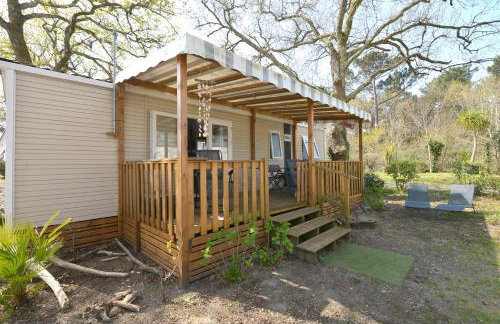 Entre Pins & Océan-15mn à pied - C'LA VIEconciergerie - Foto 2