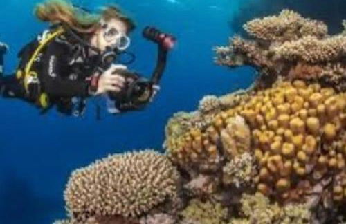 Cascais - Villa at Guincho Beach - Foto 24