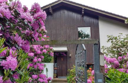 Natur und Panorama am Highwalk Wildgehege Wanderwege und Ruhe - Photo 11