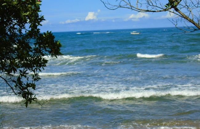 Rita Sonny Tropical Surf Cabina - Foto 1