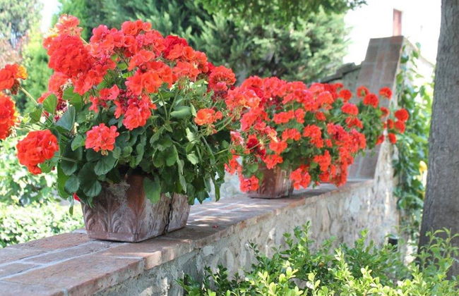 Modern Villa With Private Pool and Fenced Garden Near Lucca - Foto 18