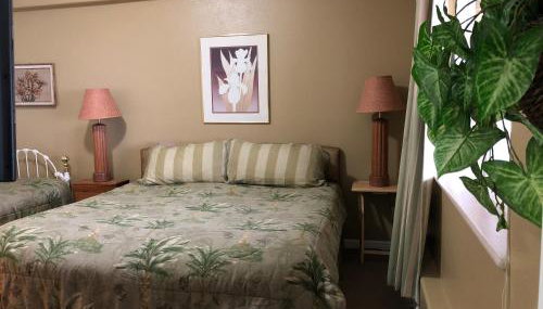 Aloha Alaska Vacation Rentals - Foto 5