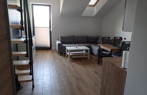 Apartamenty Kasztanowa Zator - Foto 62