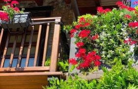 Splendido cottage Lakeview - Photo 3