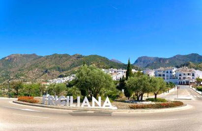 Buenos Sueños- Balcon de Frigiliana - Photo 30