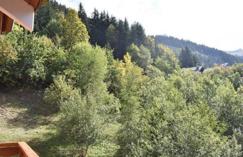 Appartement 4 pièces pour 8 à Méribel avec parking - FR-1-180-645 - Foto 23