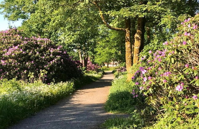 Kurzurlaub in Bockswiese, Hahnenklee - Foto 28