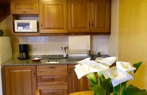 Apartamentos El Pradón de Santa Marina - Photo 26