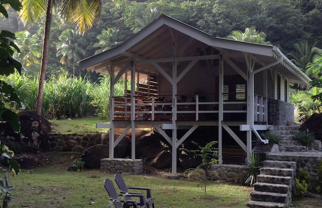 Citrus Creek Plantation - Photo 21