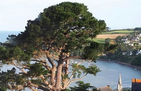 La Villa Lena - Foto 30